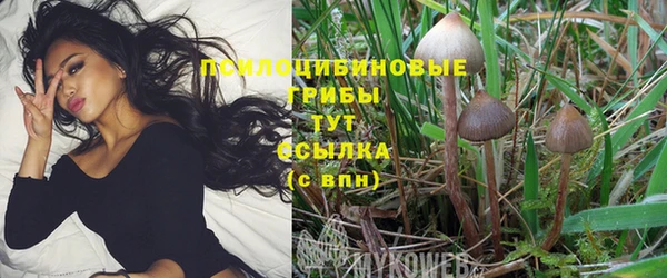 кокаин колумбия Аркадак